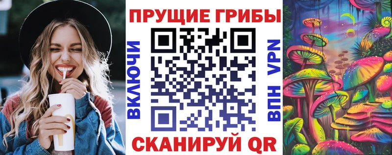 гидра зеркало  Демидов  Галлюциногенные грибы Psilocybe  наркотики 